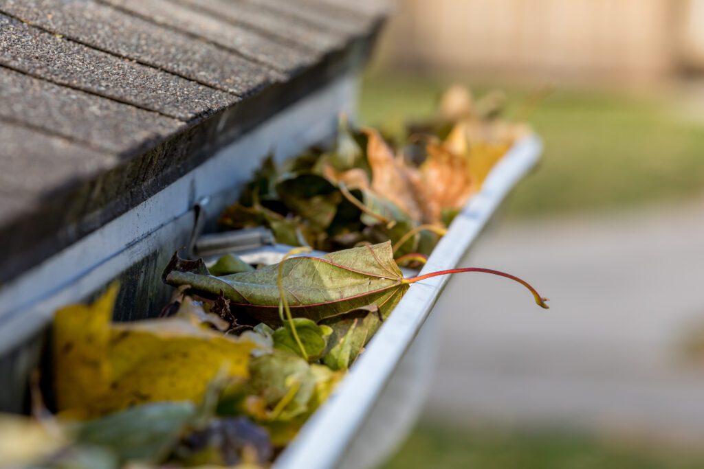 clogged gutter in winter